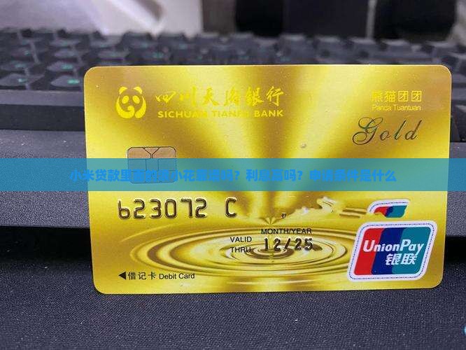 小米贷款里面的浪小花