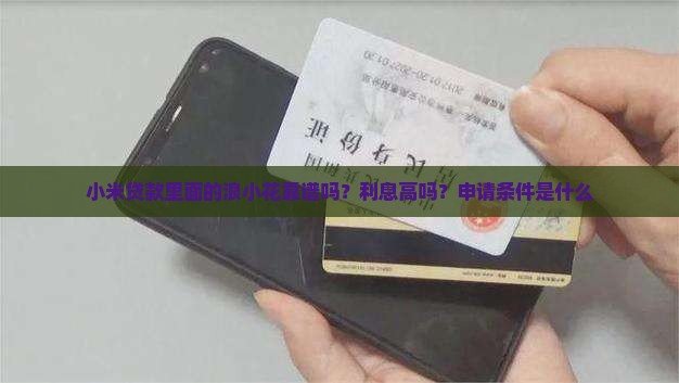 小米贷款里面的浪小花