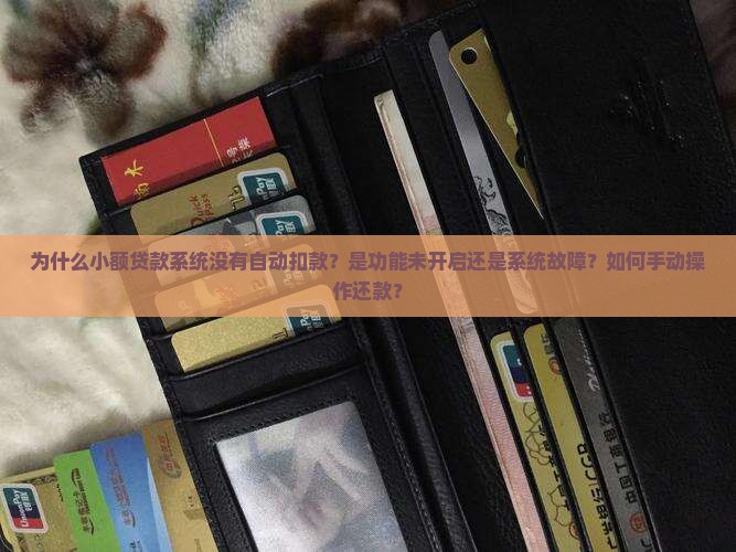 小额贷款系统不自动扣款