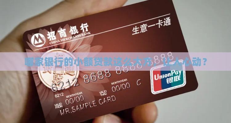 小额贷款哪家银行高