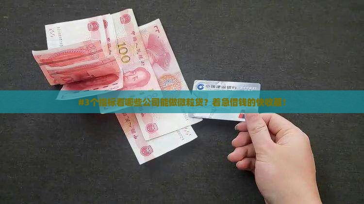 哪些公司能做微粒贷贷款