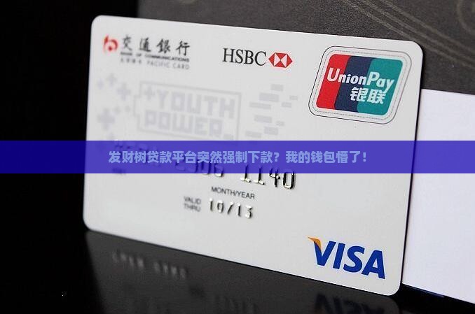 发财树贷款平台强制下款