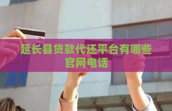 延长县贷款代还平台
