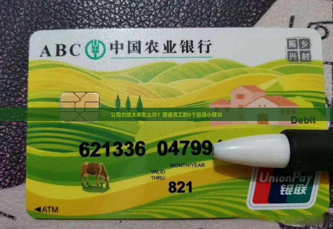 帮公司贷款还债