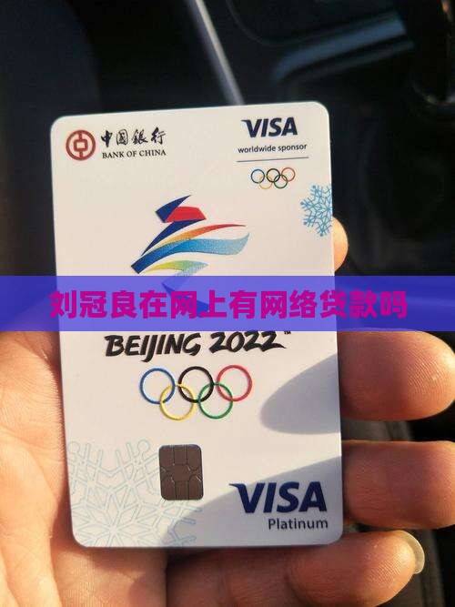刘冠良在网上有网贷款吗