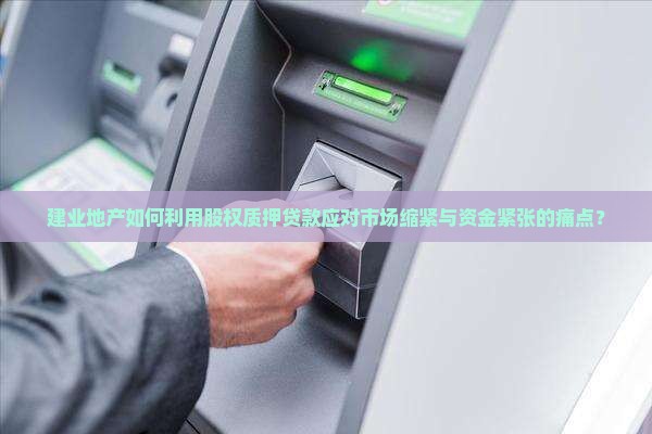 建业地产公司质押贷款
