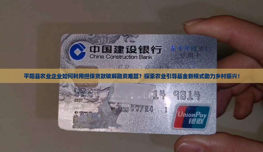 农药公司担保贷款