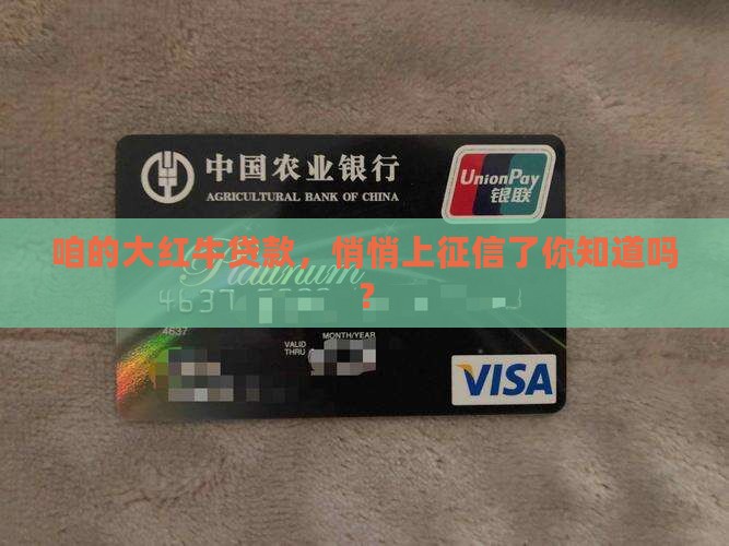 大红牛贷款上征信吗