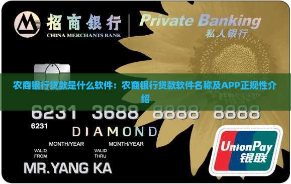 农商银行贷款是什么软件