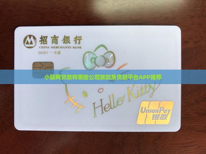 小额网贷款有哪些公司