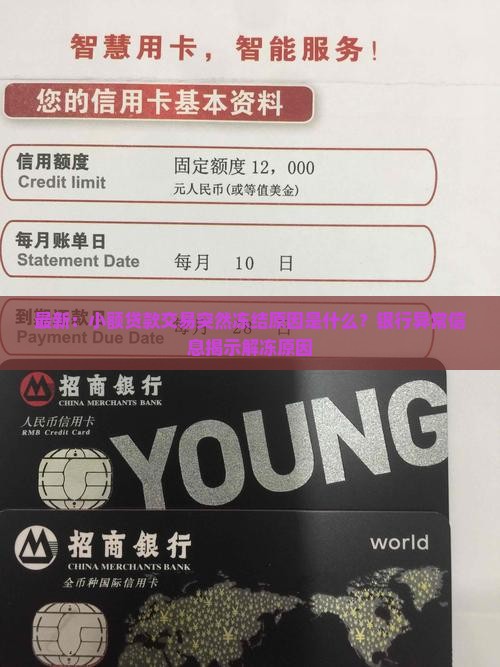 小额贷款为什么被冻结