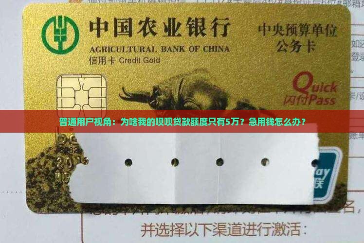 呗呗贷款怎么提额