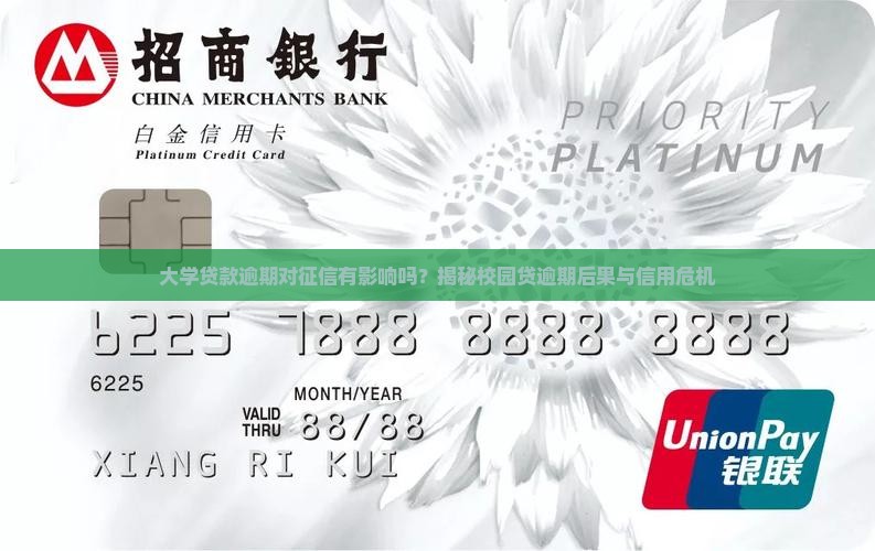 大学贷款逾期对征信的影响