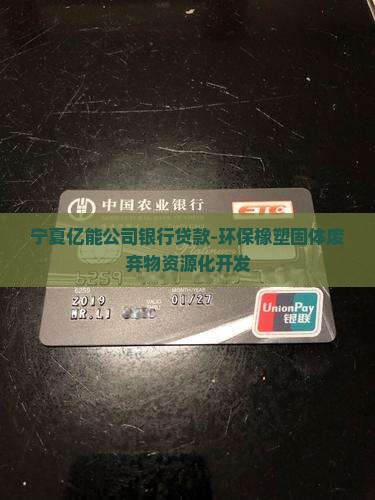 宁夏亿能公司银行贷款