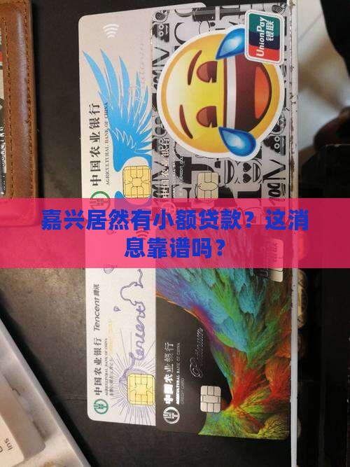 嘉兴有小额贷款