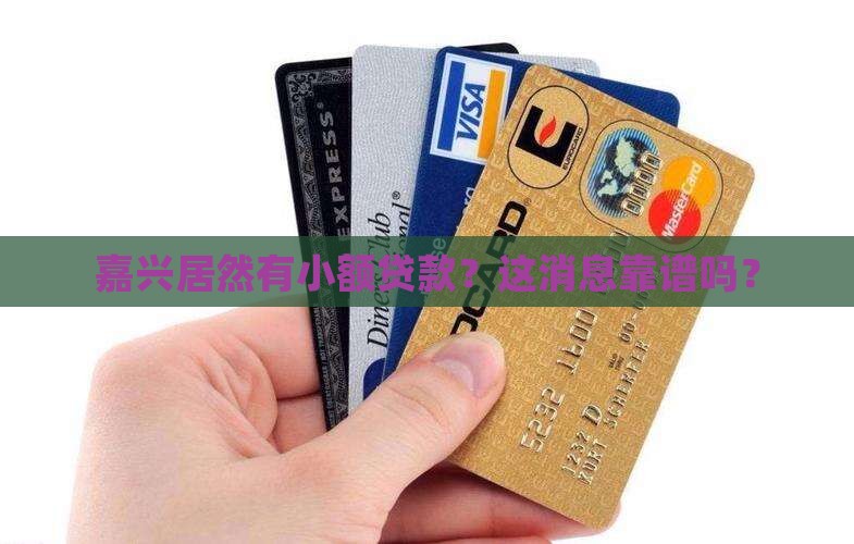 嘉兴有小额贷款