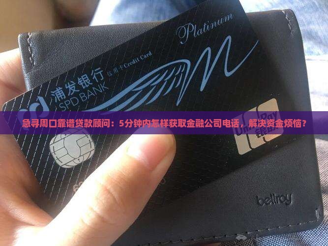 周口贷款金融公司电话