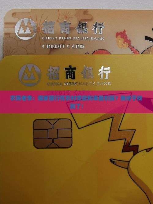 农村哪个银行贷款低