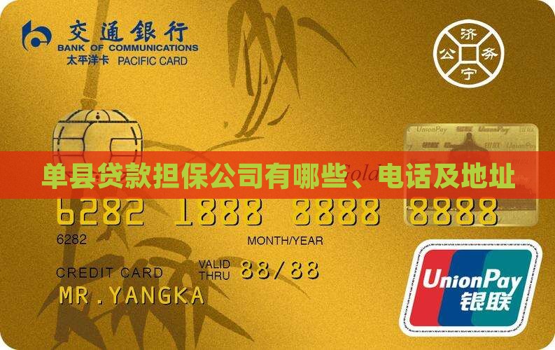单县贷款担保公司
