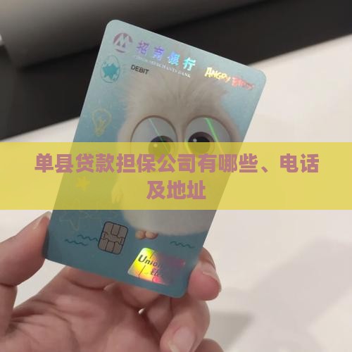 单县贷款担保公司
