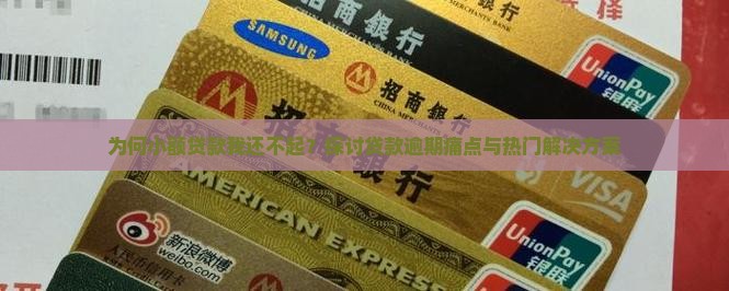 小额贷款我还不起了