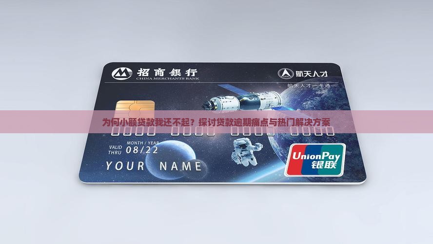 小额贷款我还不起了