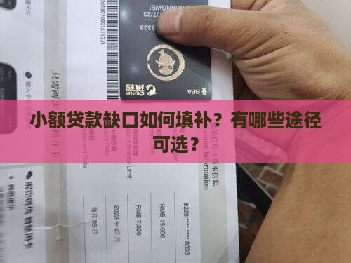 小额贷款缺口