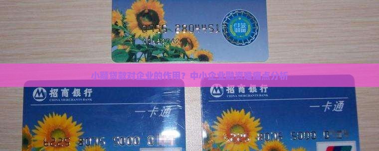 小额贷款对企业的作用