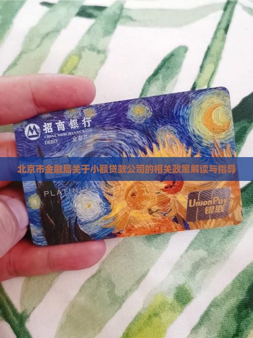 北京金融局小额贷款