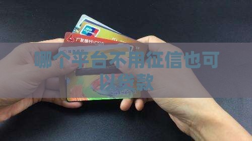 哪个不用征信可以贷款