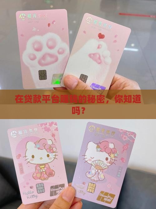 怎么在贷款平台赚钱