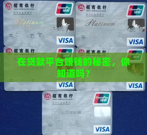 怎么在贷款平台赚钱
