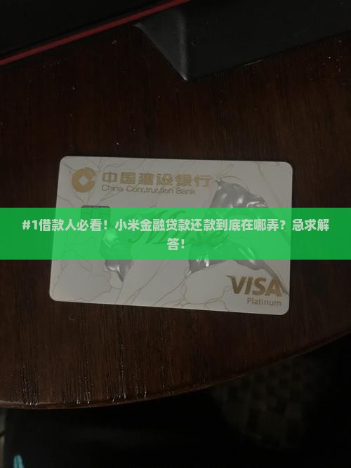 小米金融贷款在哪还钱