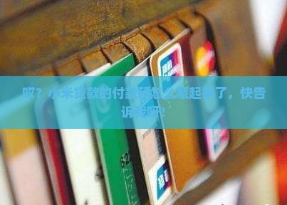 小米贷款的付款码在哪里