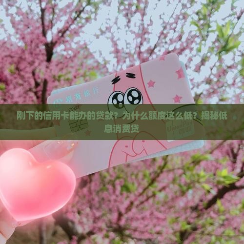刚下的信用卡能办的贷款