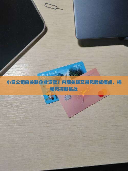 小贷公司向关联企业贷款