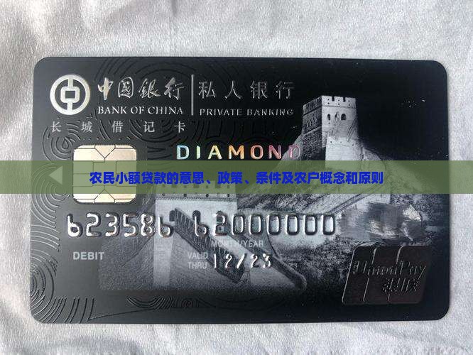 农民小额贷款的意思