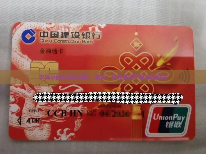 农民小额贷款的意思