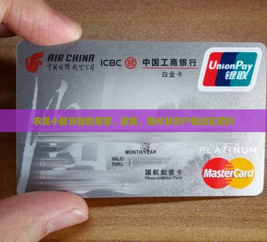 农民小额贷款的意思