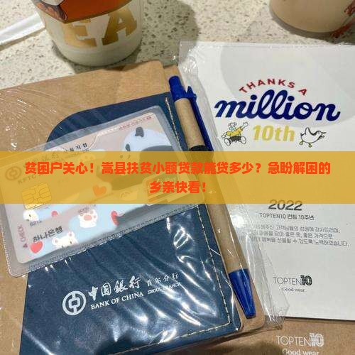 嵩县扶贫小额贷款
