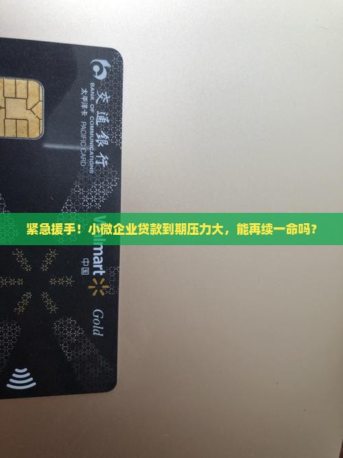 小微贷款可以续贷吗
