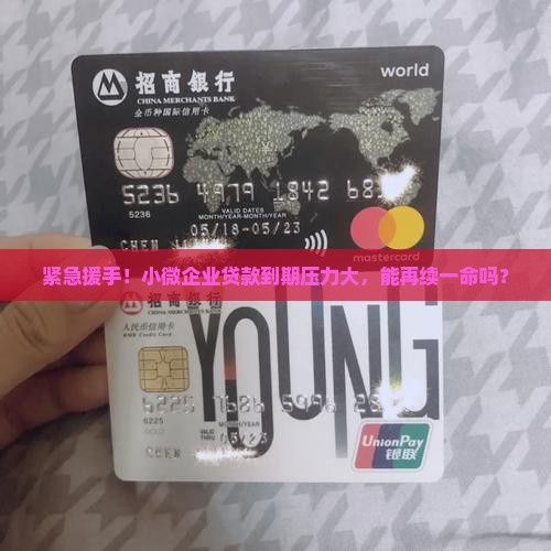 小微贷款可以续贷吗