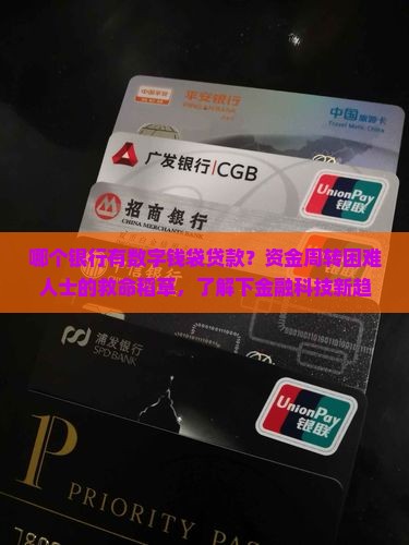 哪个银行有数字钱袋贷款