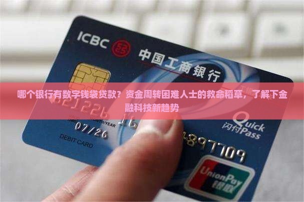 哪个银行有数字钱袋贷款