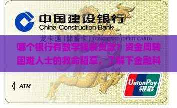 哪个银行有数字钱袋贷款