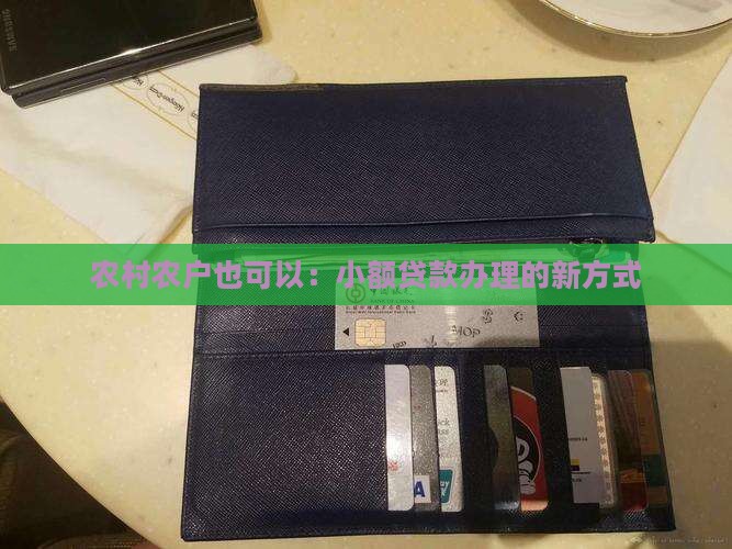 在农村能办小额贷款吗