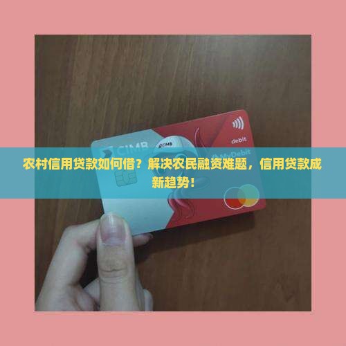 农村的怎么借信用贷款