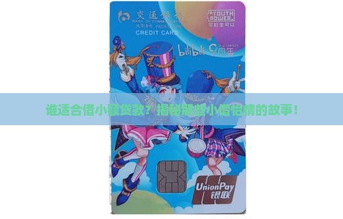 小额贷款适用对象