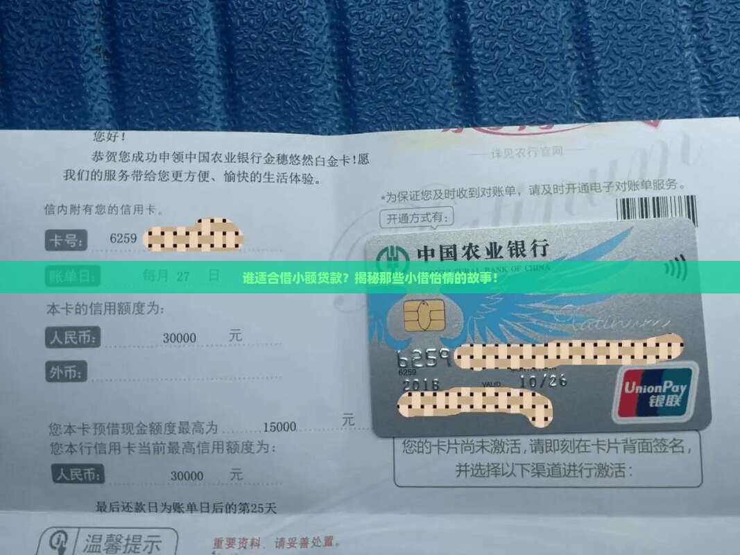 小额贷款适用对象