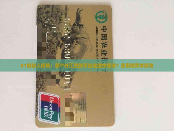 外汇贷款哪个平台好下款